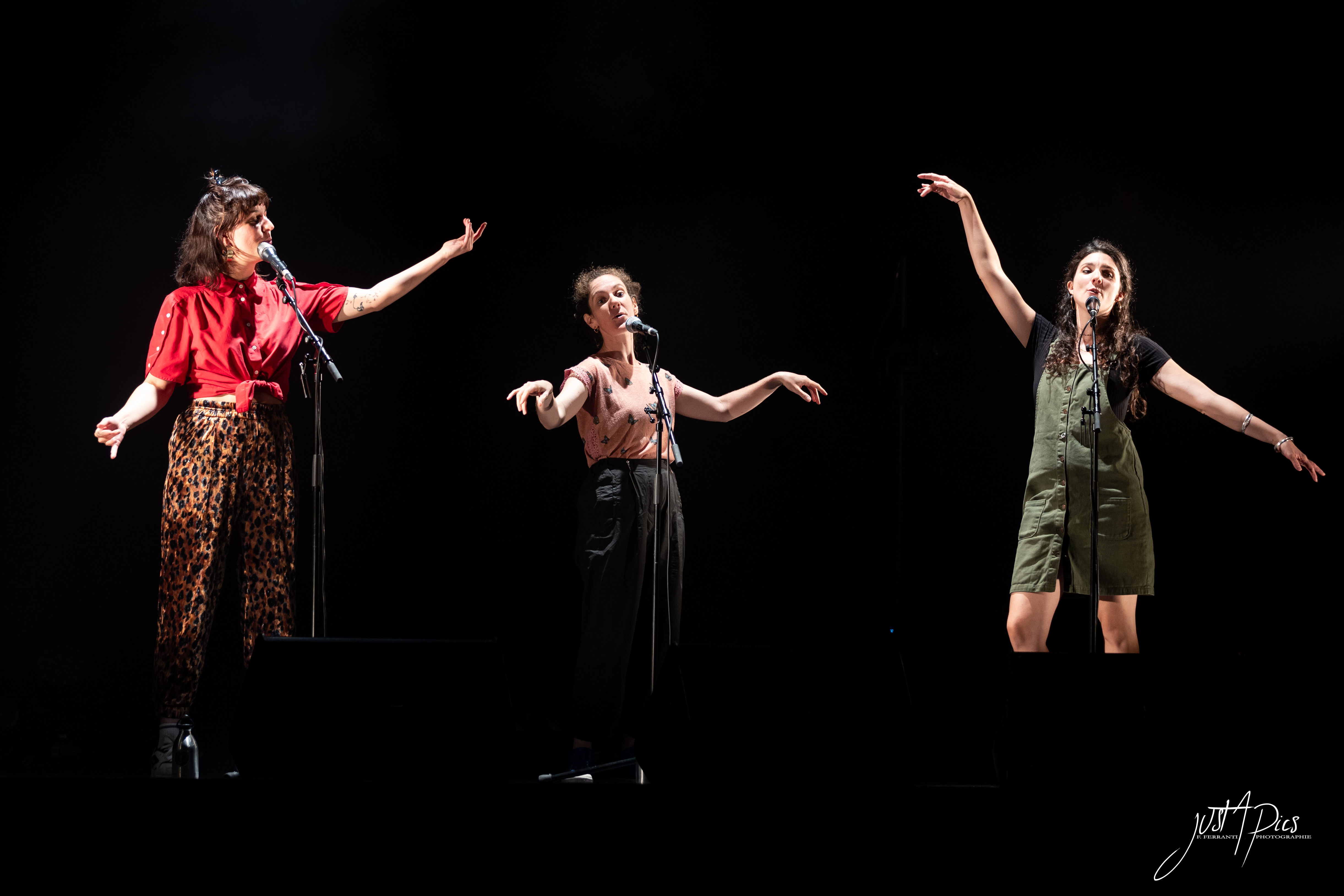 Les Cop(i)nes en concert