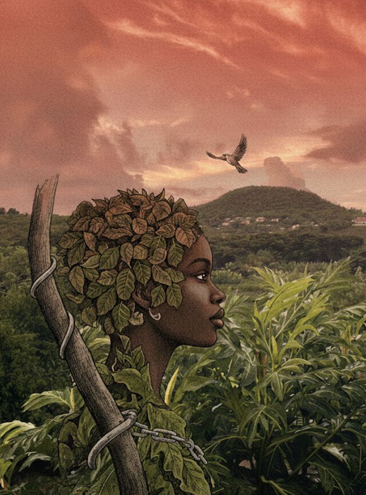 Contes d'ici et d'ailleurs 