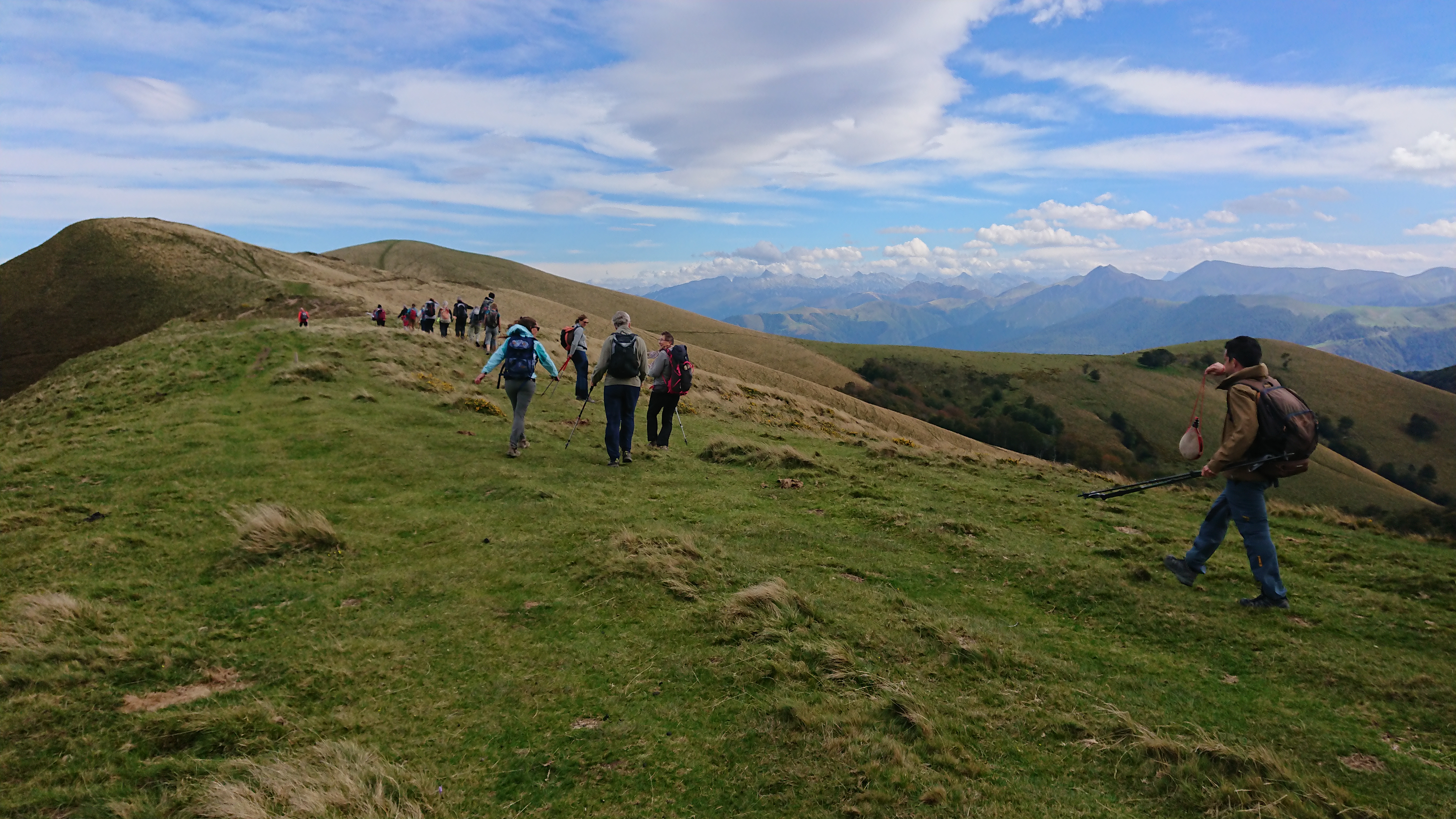 La forêt dIraty en octobre 2021